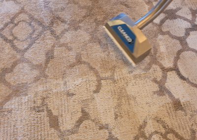 Area rug cleaning