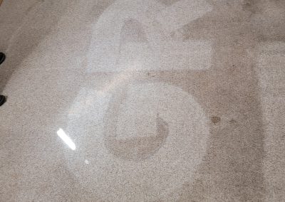 carpet cleaning steinbach living room before and after